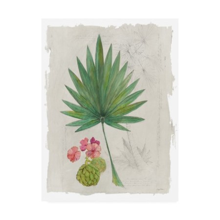 Avery Tillmon 'Botanical Journal Ii Light' Canvas Art,24x32